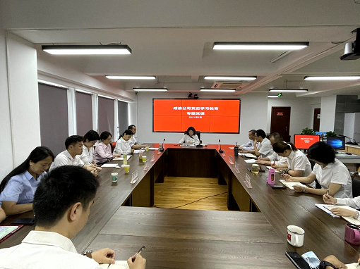 成渝公司黨委委員、工會主席、職工監(jiān)事李桃講授黨史學習教育專題黨課.png